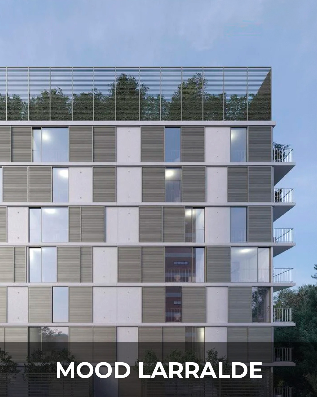 Mood Larralde categoria