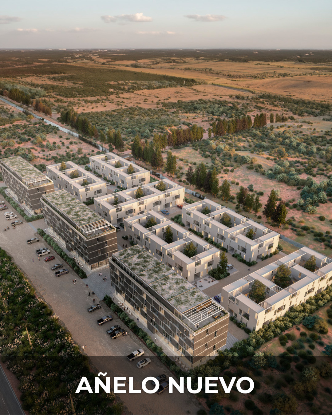 4 Añelo Nuevo Categoria